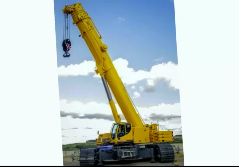 Гусеничный кран 220 т Liebherr LTR 1220